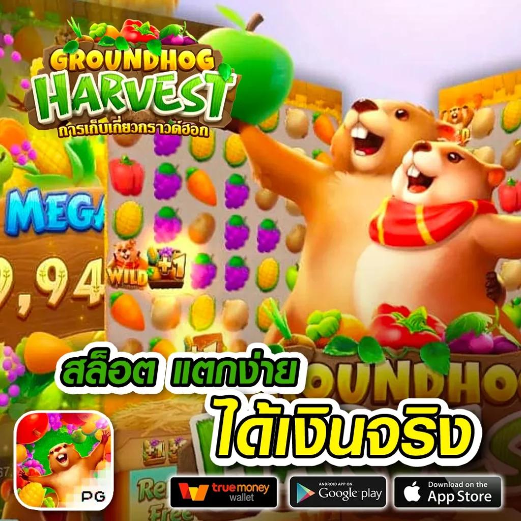 99ราชา เว็บตรง สล็อต ฝากถอนออโต้ ไม่ผ่านเอเย่นต์ 2026
